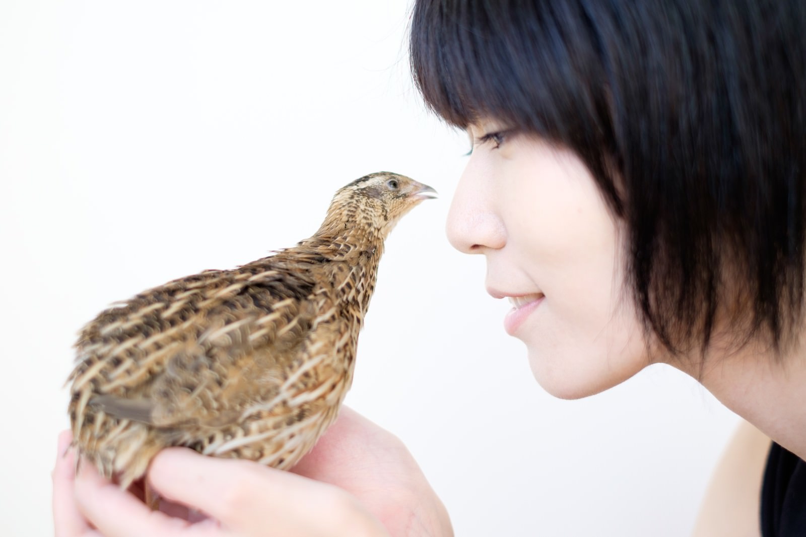 手のひらに乗った小さなウズラに優しく話しかける女性［モデル：緋真煉］