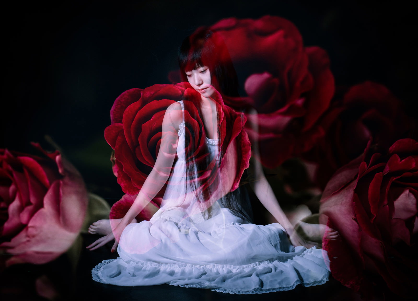 赤い薔薇の花々と白いドレスの女性を合成したフォトモンタージュ［モデル：緋真煉］