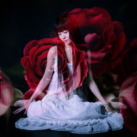 赤い薔薇に包まれた白いドレスの女性フォトモンタージュの写真