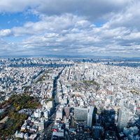 あべのハルカスからの眺め、大阪市街地を一望するの写真