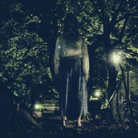 消された記憶と夜の森の亡霊の写真