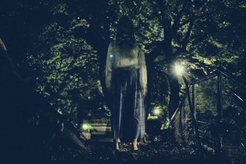 消された記憶と夜の森の亡霊