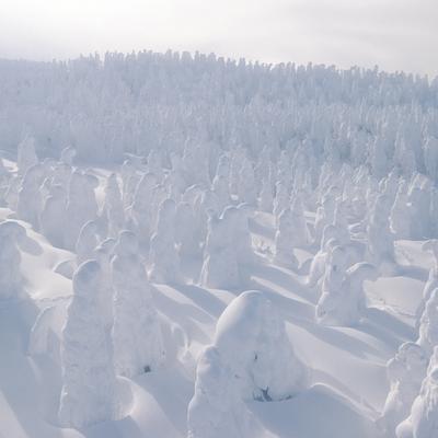 ロープウェイから見下ろす蔵王の樹氷が彩る壮大な雪山の写真