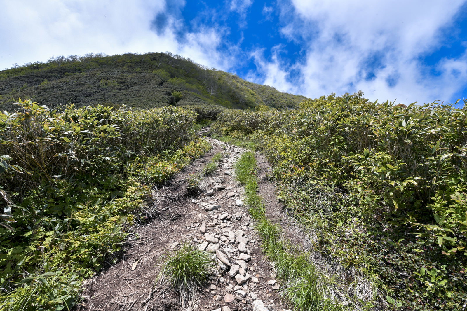 石畳が敷かれた高妻山の急峻な登山道と青空