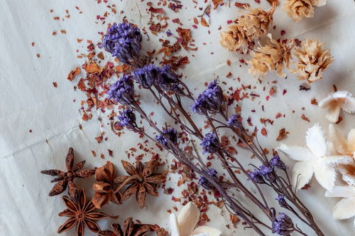 紫色のドライフラワーとスパイスを組み合わせた静物