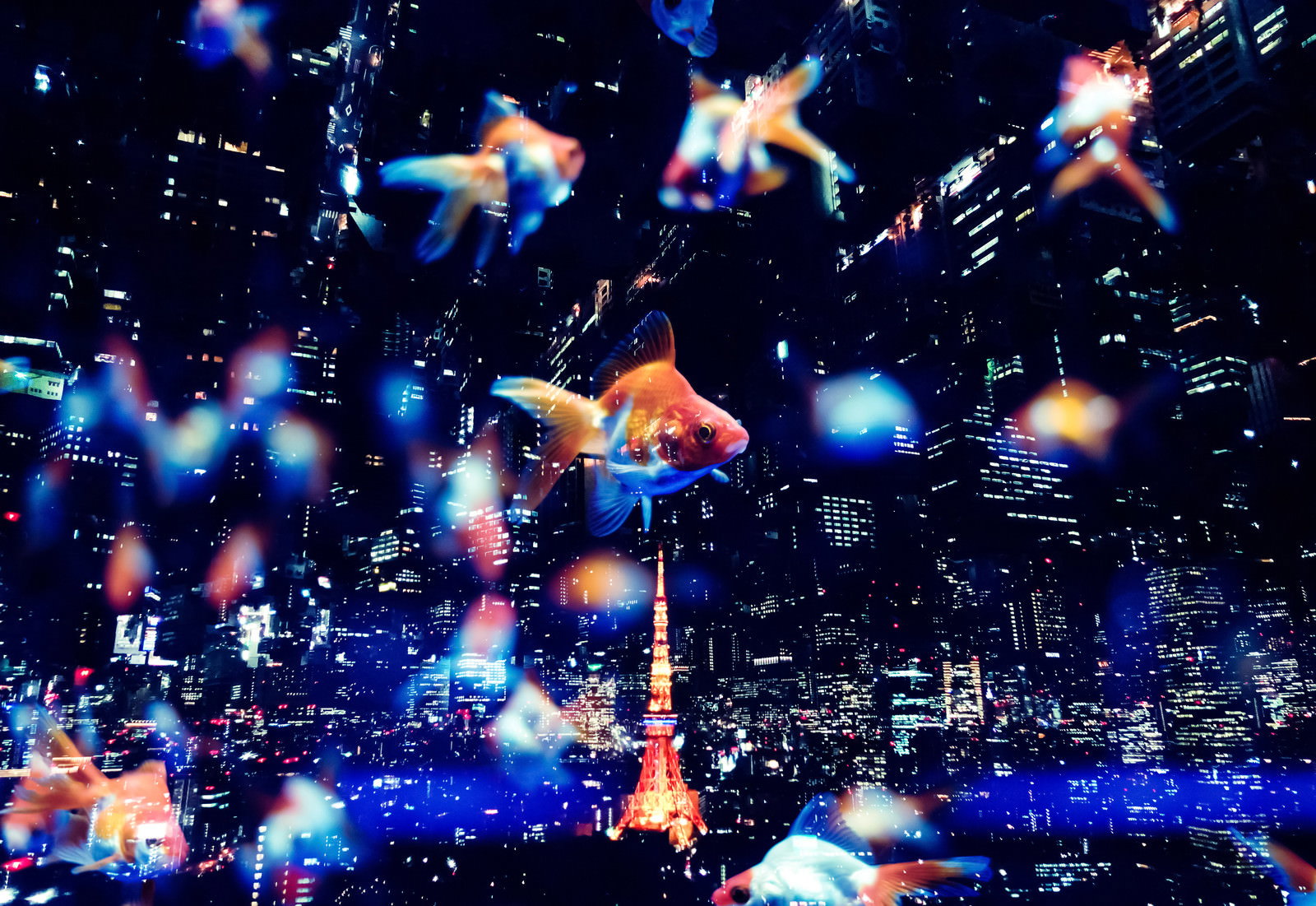 東京タワーが見える都市夜景と金魚を合成したフォトモンタージュ