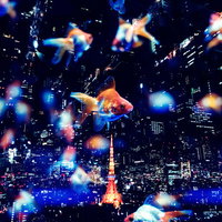 東京タワーの都市夜景とアクア金魚のフォトモンタージュの写真