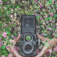 ローライフレックスのカメラを持つ女性の手と桜の花びらの写真
