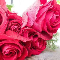 フレッシュな薔薇束に付いた朝露と水滴のギフトの写真