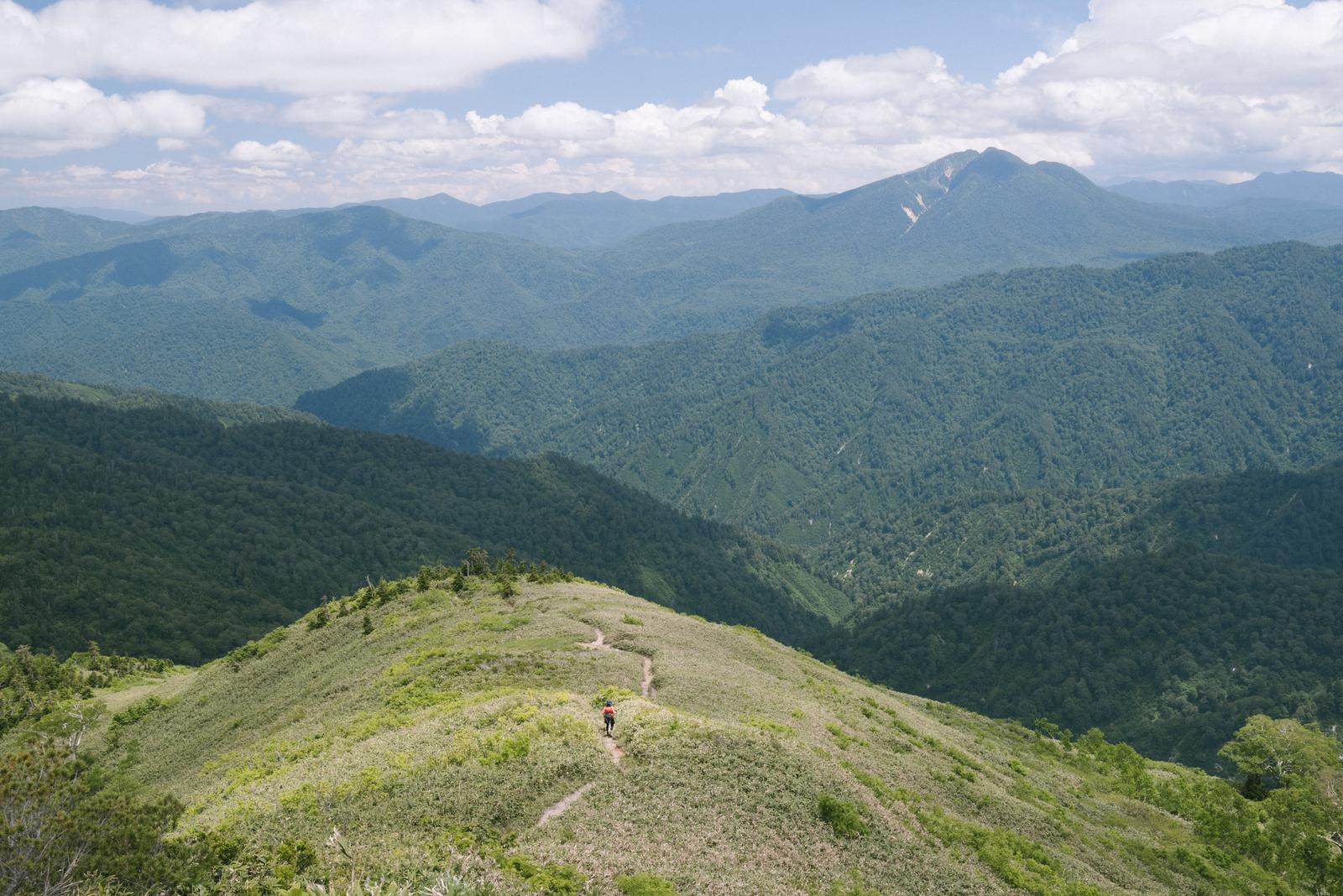 平ヶ岳の登山道から眺める森林に覆われた谷と遠方の双耳峰の景観
