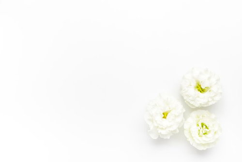 白いトルコギキョウの切り花