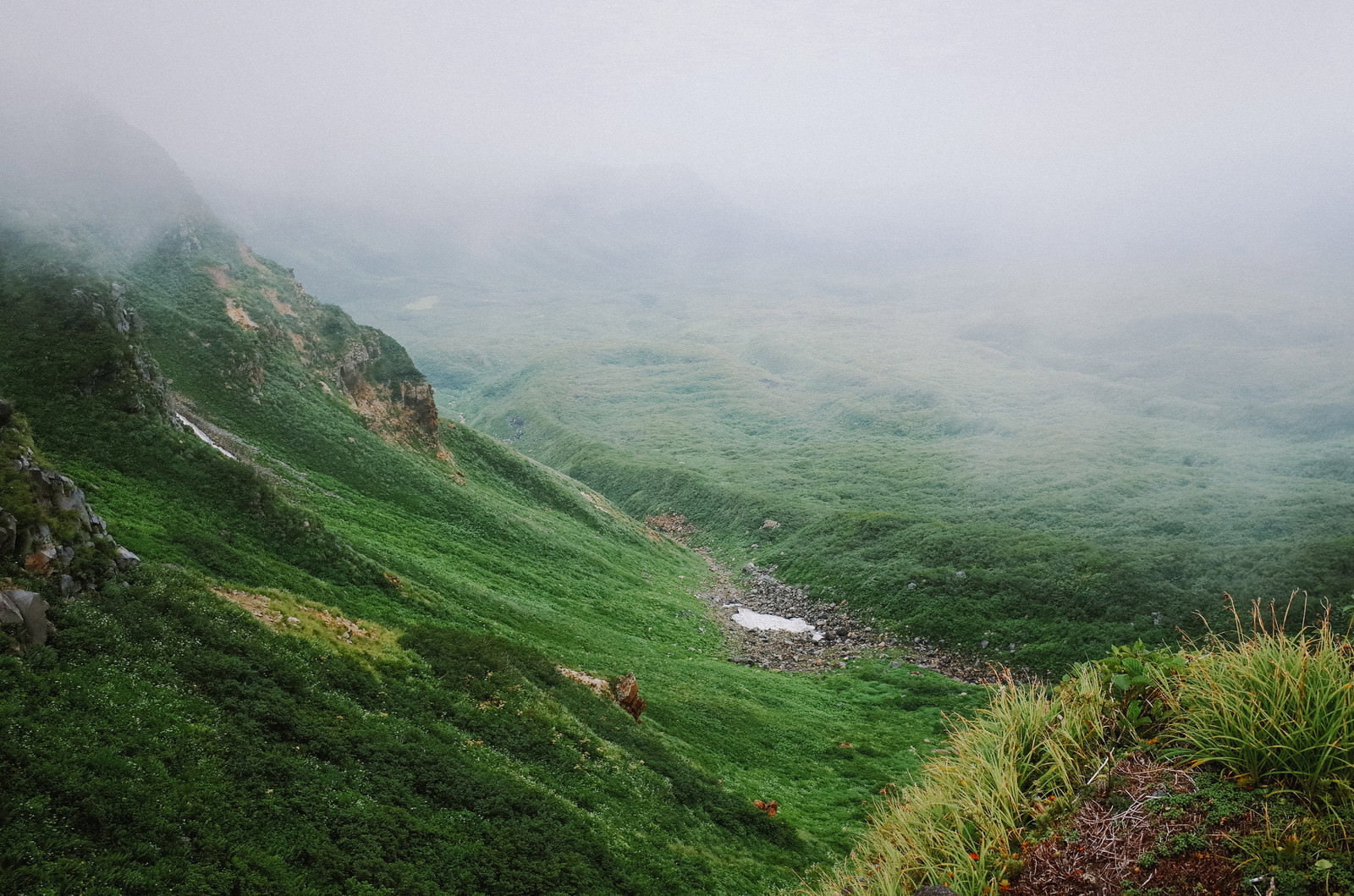 霧に包まれた鳥海山の緑の山肌と登山道が見える風景
