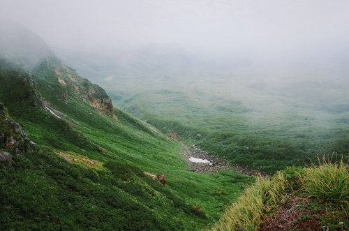濃いガスに包まれる日本百名山・鳥海山の山肌