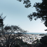 神倉神社の境内から望む眼下の街並みと緑の樹木に覆われた参道風景の写真
