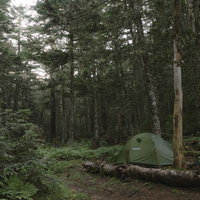 南アルプス・鳳凰三山のテント場に張られた緑色のテントの写真