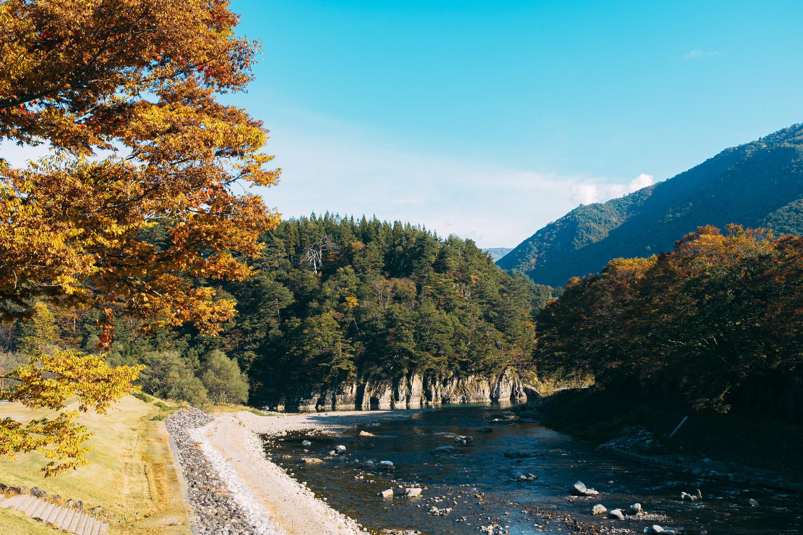 秋の白川郷の渓谷。紅葉した樹と清流の荘川、両岸の山並みを映す
