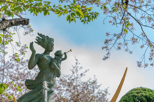 広島平和記念公園の母子銅像と桜