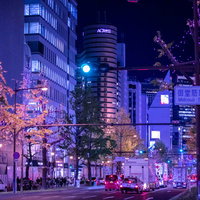 御堂筋周防町をイルミネーションで装飾した夜の道路の写真