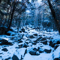 冬の蓼科山登山道の雪道風景の写真