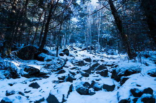 冬の蓼科山登山道の雪道風景