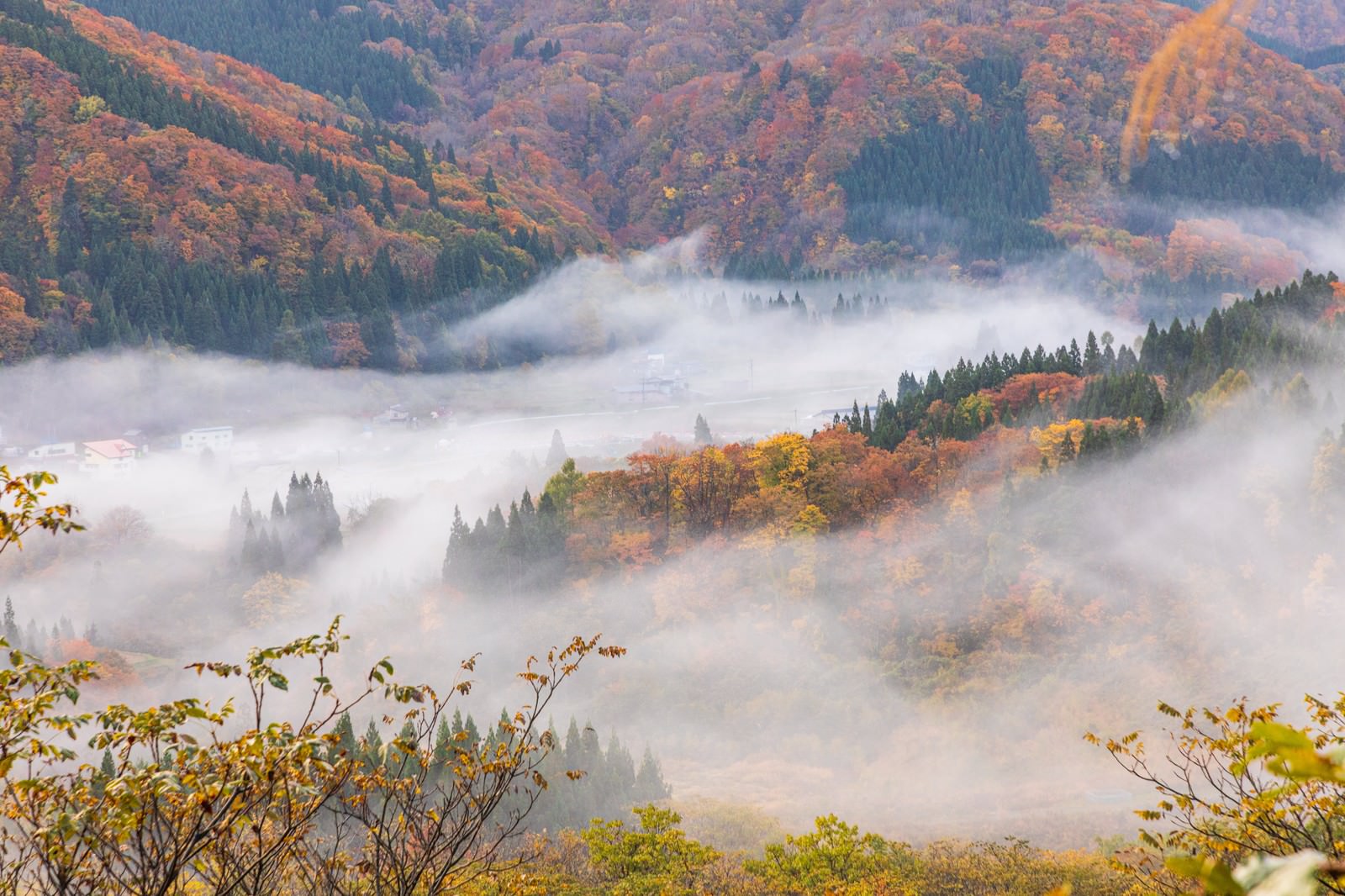 霧が流れる秋の山間の谷と紅葉