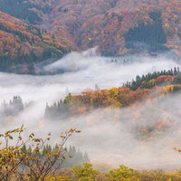 秋霧に包まれた山間の谷の風景の写真