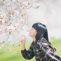 チェックシャツを着た黒髪の女の子が開花した桜の花の香りを嗅ぐの写真