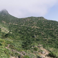 一直線に延びる登山道と緑の山肌（安達太良山）の写真