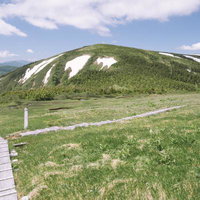 平ヶ岳の木道と雪渓が残る山頂の眺め、日本百名山の絶景の写真