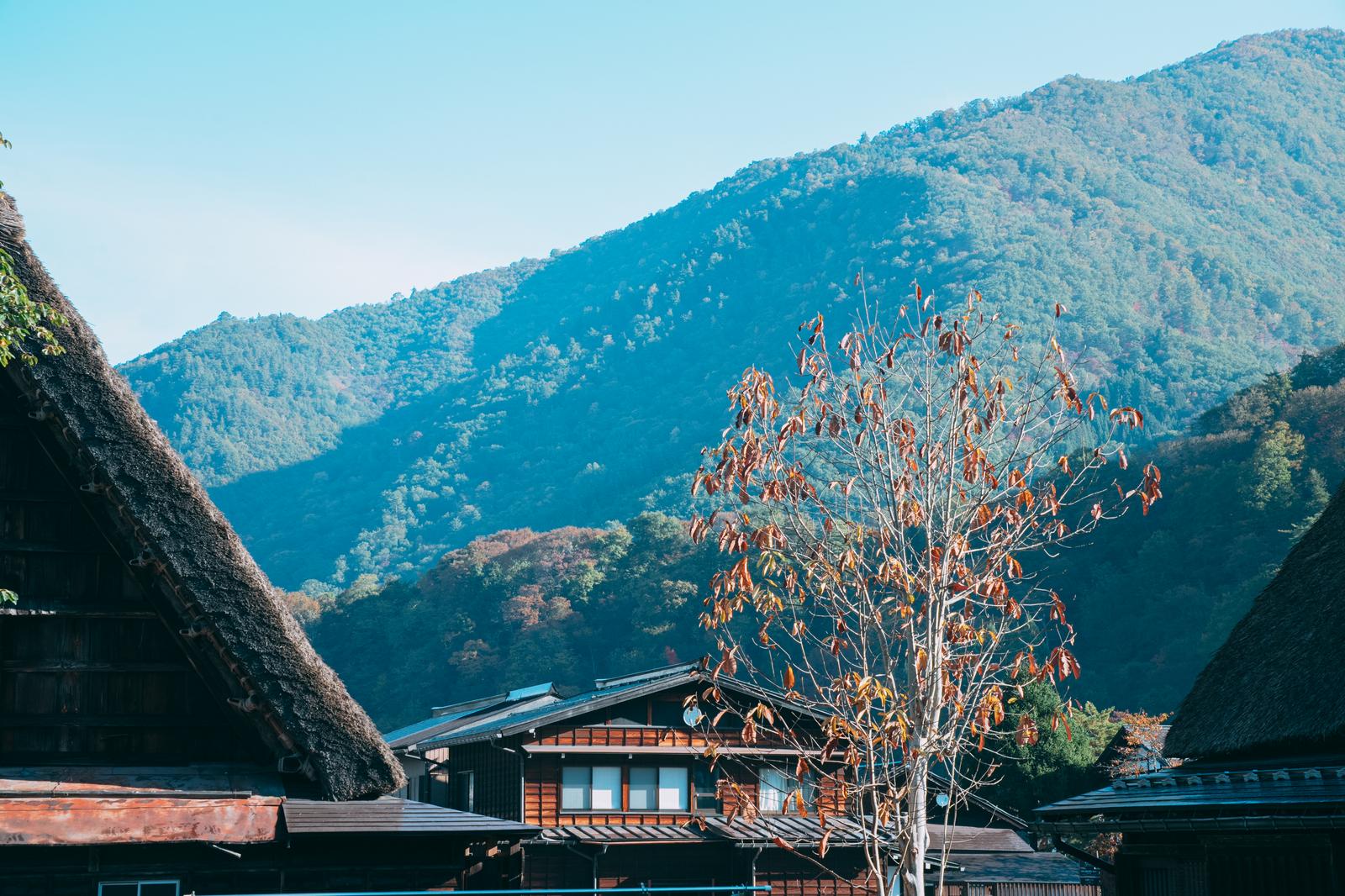 岐阜県白川郷の合掌造り民家と秋の山並みを望む風景