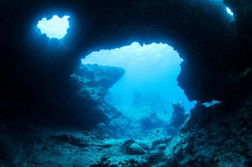 沖縄・辺戸岬の海中アーチ|スキューバダイビングの人気スポット
