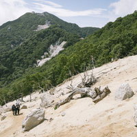 夏の地蔵岳を登る登山者たちの写真