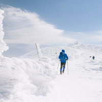 冬の蔵王、馬の背を登る登山者たち、雪山トレッキングの写真
