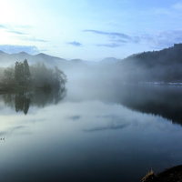 朝靄に包まれた霧がかかった池の山々と針葉樹の自然風景の写真