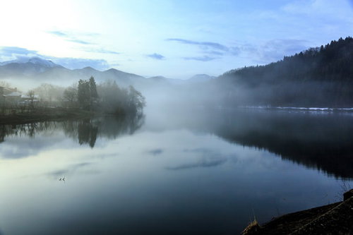 朝靄に包まれた霧がかかった池の山々と針葉樹の自然風景