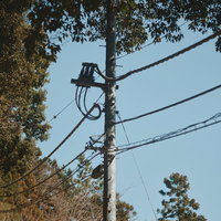 木々に囲まれた田舎の電柱と電線の風景の写真