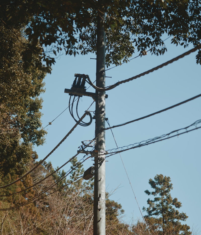 田舎の風景で木々に囲まれた電柱と電線が写っている