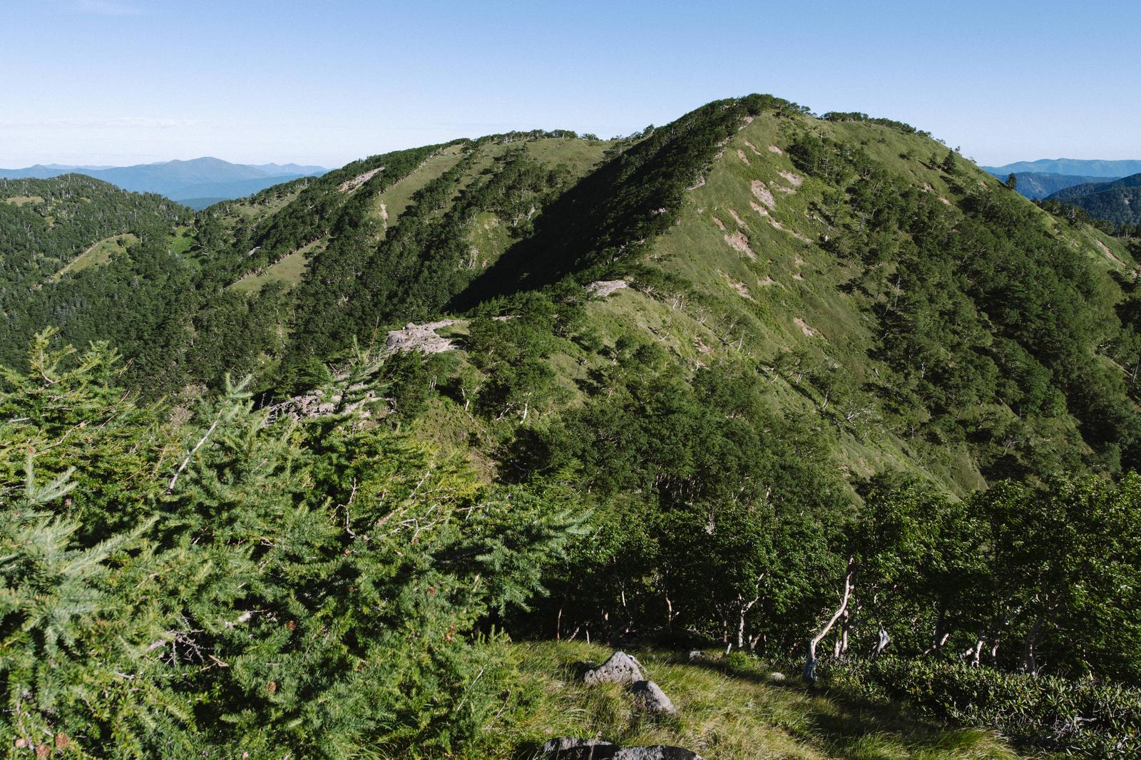前白根から見た日光白根山周辺の五色岳方面の登山道。緑の山々が連なる眺め