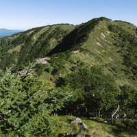 前白根から見る日本百名山・日光白根山の五色岳方面の登山道の写真