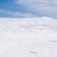 蔵王・刈田岳の山頂から見た樹氷林と雪景色の写真