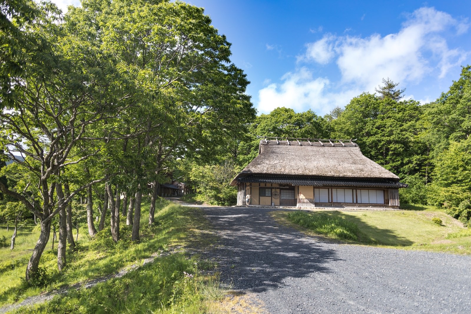 緑に囲まれた茅葺屋根の古民家と青空が広がる田舎の風景