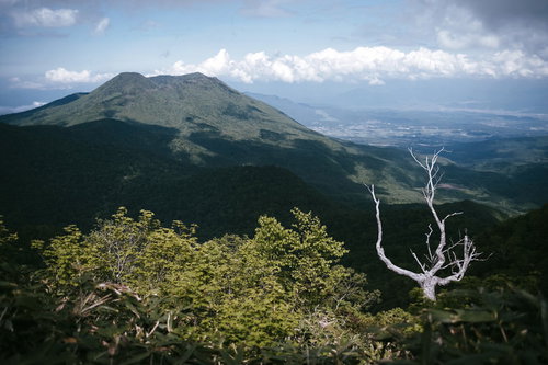 手前の枯れ木と背景の黒姫山、高妻山の風景