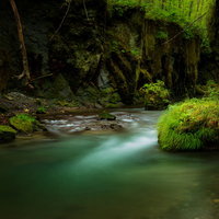 樽前ガローの緑と清流が作る渓谷の岩肌と苔の景観の写真