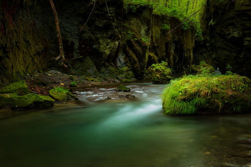樽前ガローの緑と清流が作る渓谷の岩肌と苔の景観