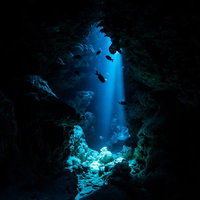 瀬底島でスキューバーダイビング中に見える青い光の海中の写真