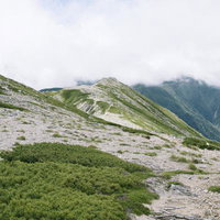 白砂とハイマツが続く木曽駒ヶ岳の極楽平の高山風景の写真