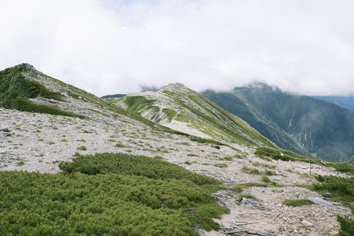 白砂とハイマツが続く木曽駒ヶ岳の極楽平の高山風景