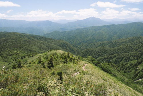 日本百名山の燧ヶ岳から広がる山々を望む登山道