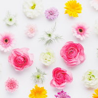 春色テクスチャのフラワーアレンジメント(マット仕上げ)の写真