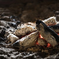 趣ある炭火が揺れる囲炉裏で燃やされた赤い炭の写真